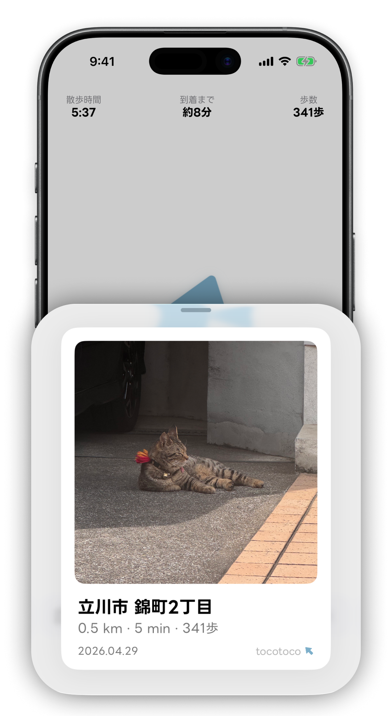 Photo screen
